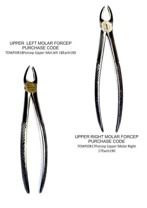 molar forceps